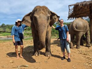 Elefante en el Santuario de Living Green Elephant Sanctuary