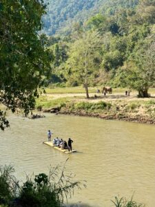 Balsa de bambú vista desde arriba